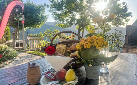 Valloria 605: Pot De Fleur, Jardin, Printemps, Plante D'Appartement, Floristique, Art Floral, Cour, Aménagement Paysager