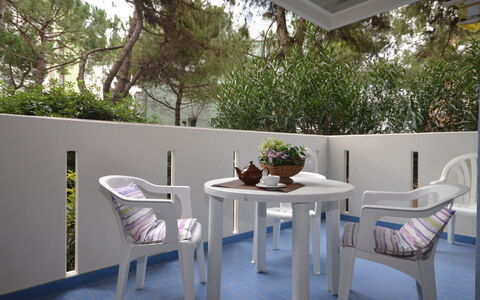 Lignano Sabbiadoro 643: Table, Meubles, Propriété, Plante, Bâtiment, Chaise, Design Intérieur, Ombre, Arbre, Bois