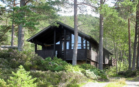 Sandvikfjellet: Plante, Communauté Des Plantes, Bâtiment, Fenêtre, Arbre, Paysage Naturel, Bois, Lot Terre, Chalet, Maison