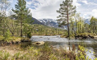 Myravatnet