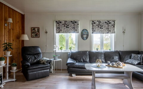 Gulehuset: Canapé, Meubles, Plante, Bois, Design Intérieur, Sol, Plante D'Appartement, Confort, Salon, Ombre