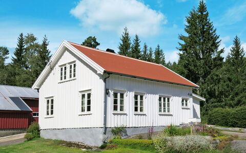 Øygårdsheia: Plante, Ciel, Nuage, Bâtiment, Fenêtre, Arbre, Maison, Lot Terre, Pente