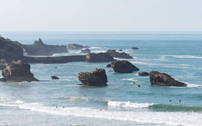Logement:&nbsp;Victoria Surf 180.14