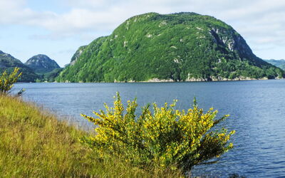 Nedregård