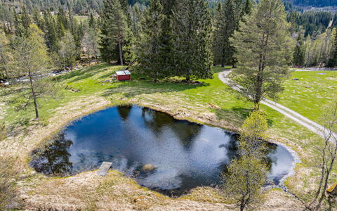 Fjellro: Arbre, Paysage Naturel, Paysage, Tarn, Banque, Région Sauvage, Forêt, Étang, Réflexion, Mélèze
