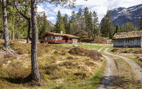 Fjellbris: Herbe, Arbre, Montagnes Relief, Montagne, Paysage Naturel, Maison, Montagnes, Paysage, Chalet