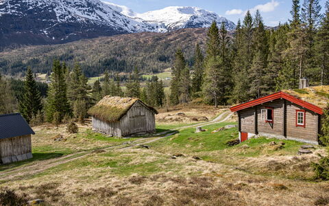 Fjellbris: Montagnes Relief, Herbe, Montagne, Colline, Paysage Naturel, Prairie, Montagnes, Maison, Paysage