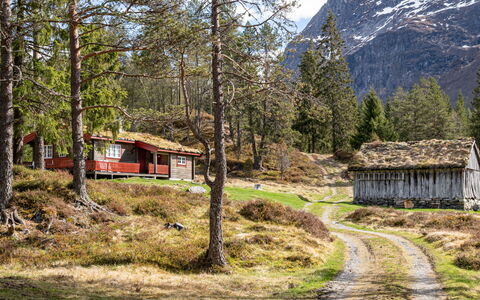 Fjellbris: Herbe, Montagnes Relief, Montagne, Paysage Naturel, Maison, Montagnes, Colline, Chalet, Paysage