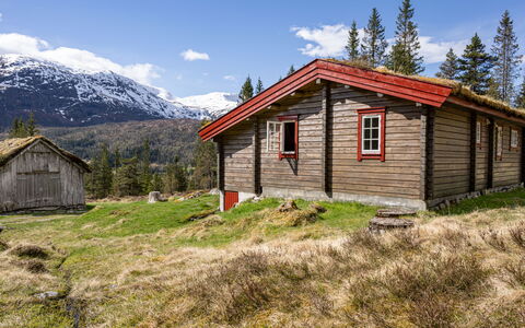 Fjellbris: Herbe, Maison, Chalet, Cabane, Montagnes, Zone Rurale, Prairie, Paysage, Toit, Lot Terre