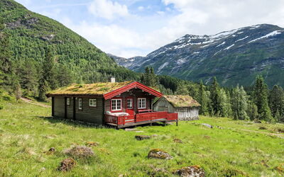 Fjellbris