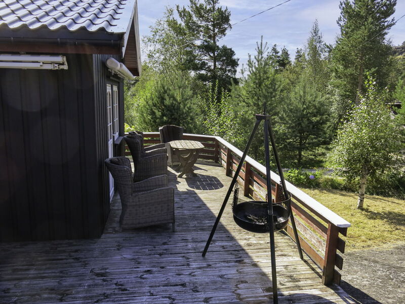 Ulvebu (Sow075)