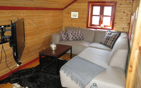Troll: Propriété, Canapé, Fenêtre, Bois, Design Intérieur, Sol, Salon, Mur, Dur, Immobilier