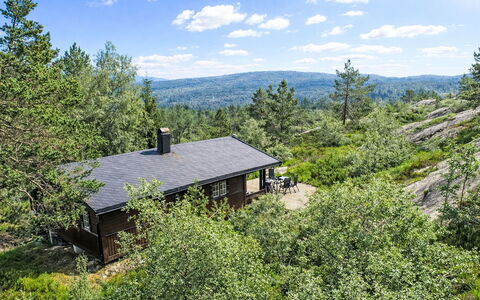 Fjellidyll: Végétation, Arbuste, Paysage, Communauté Des Plantes, Lot Terre, Zone Rurale, Chalet, Forêt, Couverture De Sol, Pente