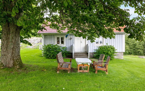 Hökagården: Plante, Meubles, Propriété, Bâtiment, Arbre, La Nature, Fenêtre, Maison, Lot Terre, Végétation