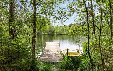 Hökagården: L'Eau, Plante, Communauté Des Plantes, Paysage Naturel, Arbre, Bois, Cours D'Eau, Tronc