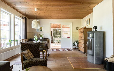 Vänneböke: Plante, Fenêtre, Bois, Plante D'Appartement, Design Intérieur, Salon, Sol, Sol, Cadre, Pot De Fleur