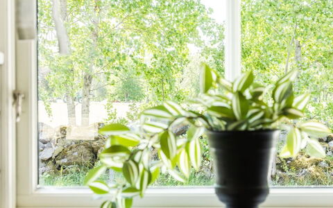 Skärvudde Huset: Plante, Propriété, Fenêtre, Pot De Fleur, Lumière, Vert, Plante D'Appartement, Bois, Design Intérieur