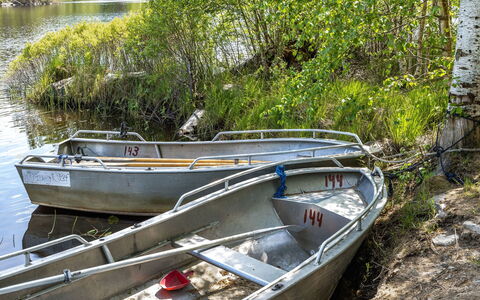 Erikstorp 143: L'Eau, Bateau, Plante, Communauté Des Plantes, Véhicule, Bateaux Et Nautique - Materiel Et Fournitures, Navire, Arbre, Bois, Architecture Navale