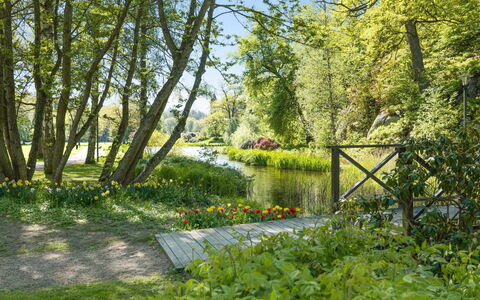 Ekenäs: Plante, L'Eau, Arbre, Paysage Naturel, Ombre, Lot Terre, Cours D'Eau, Banque, Herbe, Couverture De Sol