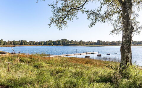 Svenstorp: L'Eau, Plante, Ciel, Paysage Naturel, Arbre, Lot Terre, Végétation, Lac, Cours D'Eau