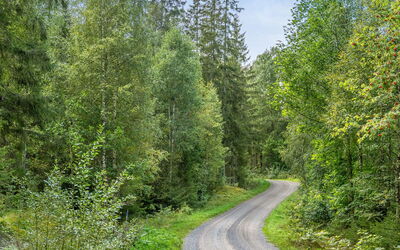 Stenfors