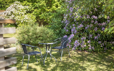 Ringsegård Höjden: Plante, Communauté Des Plantes, Fleur, Table, Botanique, Paysage Naturel, Mobilier De Jardin, Arbre, Végétation, Tableau De Plein Air