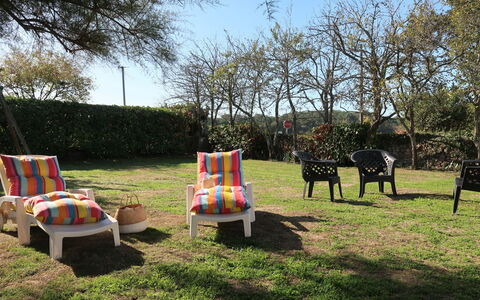 Ty Kerzo: Plante, Ciel, Arbre, Lot Terre, Ombre, Suppression Des Plantes Ligneuses, Herbe, Paysage