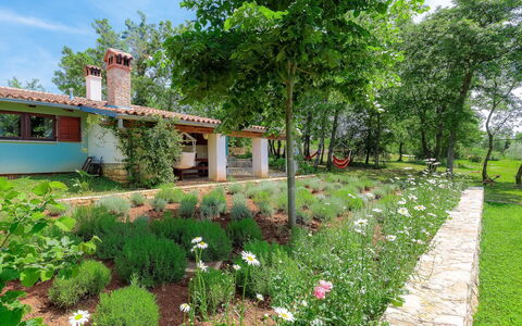 Country House D&D: Propriété, Jardin, Cour, Paysage Naturel, Maison, Lot Terre, Herbe, Immobilier, Botanique, Plante