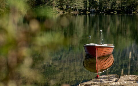 Strandbu: L'Eau, Paysage Naturel, Bois, Plante, Lac, Bateaux Et Nautique - Materiel Et Fournitures, Biome, Arbre, Banque, Tronc