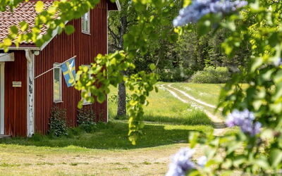 Vassviken