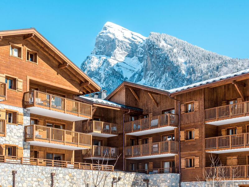 Samoëns Morillon 602