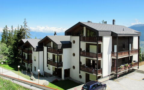 Logement:&nbsp;Hammeau D003 631.9