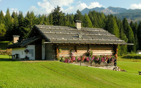 Chalet Baita Tabià Dolomites: Propriété, Maison, Paysage Naturel, Herbe, Domicile, Prairie, Ferme, Chaîne De Montagnes, Alpes, Bâtiment