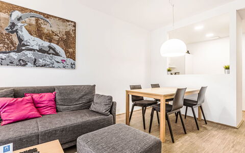 Logement:&nbsp;Mit 1 Schlafzimmer & Saunabereich 40.15