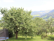 Fügen 336