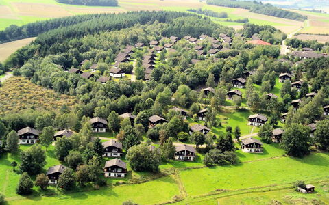 Thalfang 200: Plante, Communauté Des Plantes, Vert, La Nature, Environnement Naturel, Paysage Naturel, Arbre, Lot Terre, Montagnes, Végétation