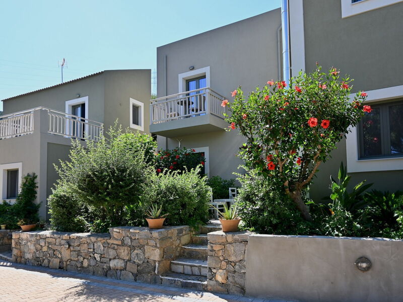 Stalis 5