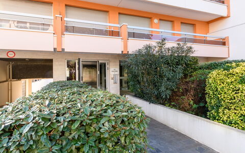 Arcachon 577: Plante, Propriété, Bâtiment, Botanique, Végétation, Design Urbain, Herbe, Quartier, Zone Résidentielle, Immobilier