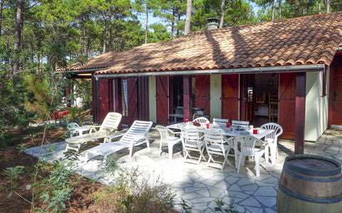 Les Sylvaines: Plante, Bâtiment, Propriété, Meubles, Ciel, Chaise, Arbre, Chalet, Maison, Mobilier De Jardin