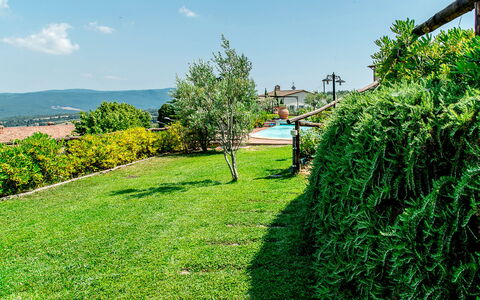 Appartamento Ginepro - Borgo in Chianni: Vert, Végétation, Herbe, Arbre, Arbuste, Paysage Naturel, Pelouse, Ciel, Jardin, Plante