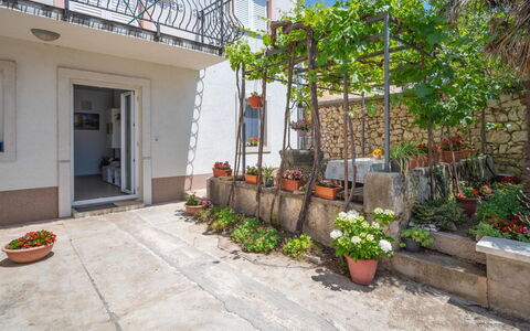 Crikvenica Jadranovo 166: Plante, Bâtiment, Propriété, Pot De Fleur, Fleur, Surface De La Route, Ciel, Architecture, Plante D'Appartement, Porte