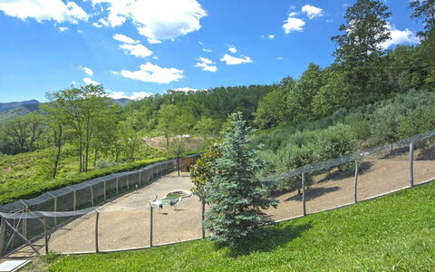 Agr. Castello della Mugazzena: Nuage, Ciel, Plante, Arbre, Paysage Naturel, Ombre, Montagnes, Lot Terre, Prairie, Cumulus