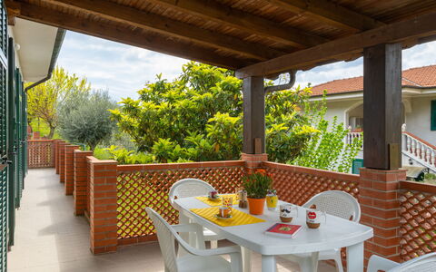 Ludovica: Table, Meubles, Propriété, Plante, Bois, Vaisselle, Pot De Fleur, Ombre, Chaise, Design Intérieur