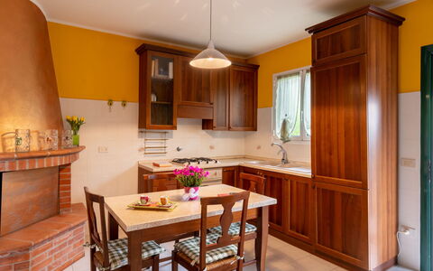 Ludovica: Comptoir, Meubles, Cabinetry, Propriété, Table, Fenêtre, Bois, Cuisine, Chaise, Design Intérieur