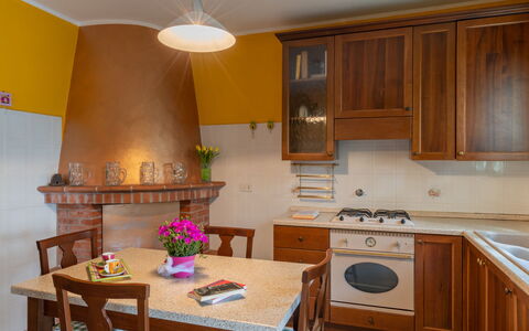Ludovica: Cabinetry, Meubles, Propriété, Table, Comptoir, Plante, Fleur, Cuisinière, Plante D'Appartement, Design Intérieur