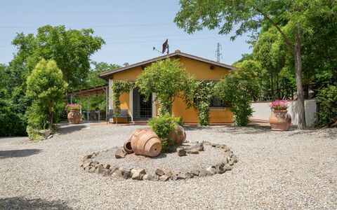 Villa Lavinia: Plante, Ciel, Propriété, Fenêtre, Arbre, Bâtiment, Surface De La Route, Maison, Paysage Naturel, Paysage