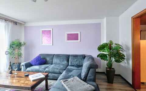 Schwalenberg 110: Propriété, Canapé, Plante, Meubles, Vert, Bleu Azur, Violet, Plante D'Appartement, Pot De Fleur, Design Intérieur