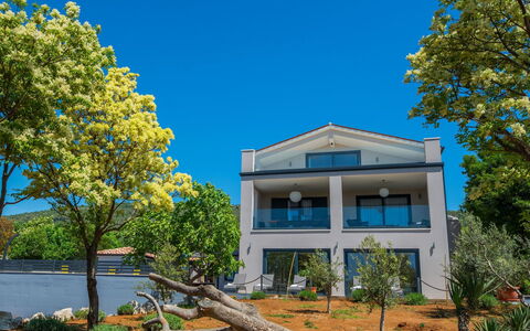 A.r.t.: Propriété, Arbre, Maison, Immobilier, Domicile, Ciel, Architecture, Bâtiment, Jaune, Zone Résidentielle