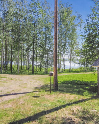 Kuikankoto: Arbre, Chalet, Ombre, Des Bois, Pelouse, Cour, Aménagement Paysager, Batiments Jardin, Parc, Arrière-Cour