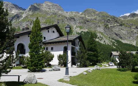 Chesa Polaschin e - E21 - Sils: Plante, Montagne, Ciel, Bâtiment, Propriété, Fenêtre, Arbre, Paysage Naturel, Montagnes, Maison